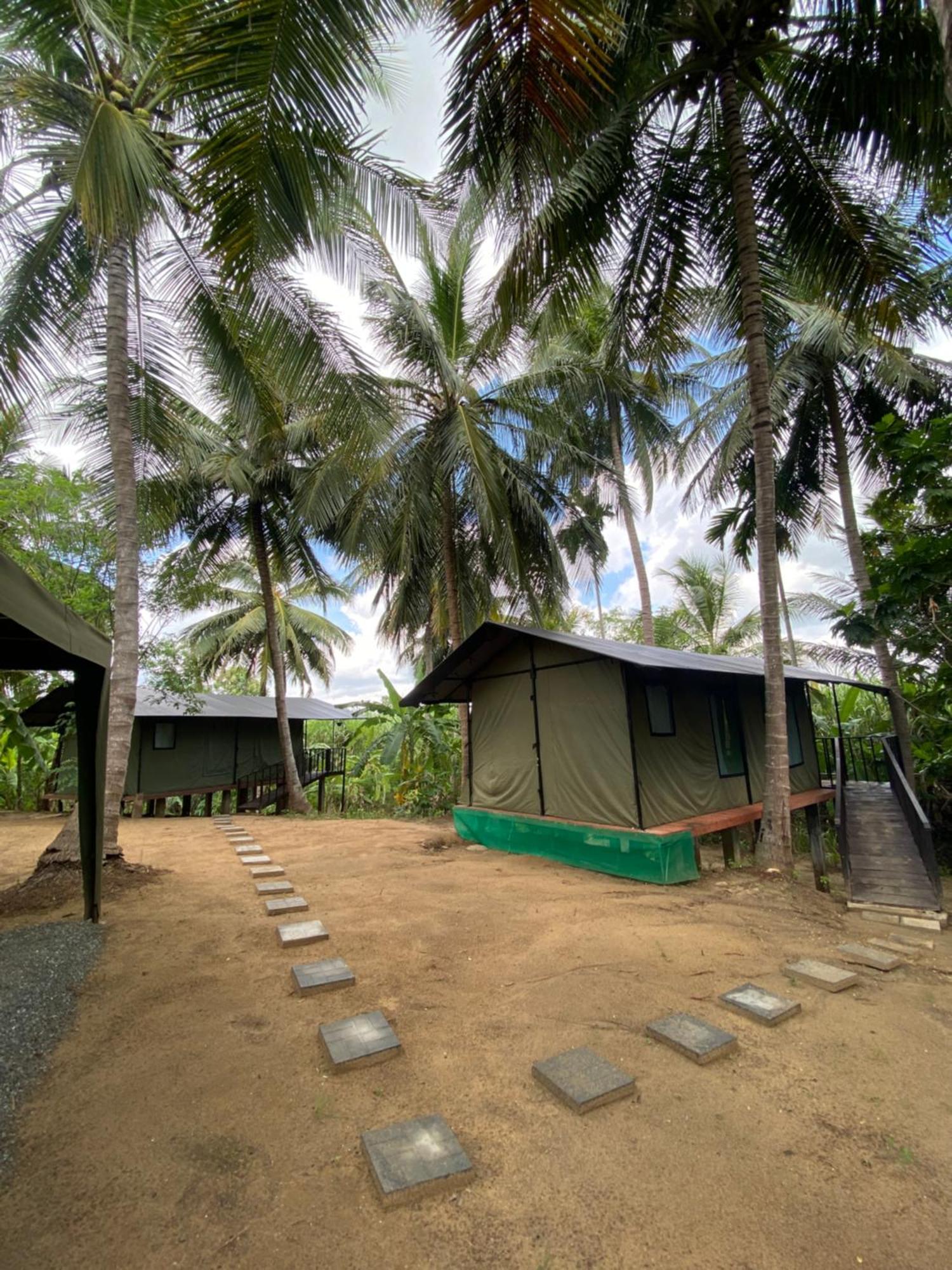 Coconut Camp Udawalawe Dematapelessa Exterior photo